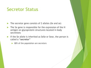 Secretor Status 
 The secretor gene consists of 2 alleles (Se and se) 
 The Se gene is responsible for the expression of the H 
antigen on glycoprotein structures located in body 
secretions 
 If the Se allele is inherited as SeSe or Sese, the person is 
called a “secretor” 
 80% of the population are secretors 
 