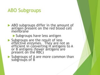 ABO Subgroups 
 ABO subgroups differ in the amount of 
antigen present on the red blood cell 
membrane 
 Subgroups have less antigen 
 Subgroups are the result of less 
effective enzymes. They are not as 
efficient in converting H antigens to A 
or B antigens (fewer antigens are 
present on the RBC) 
 Subgroups of A are more common than 
subgroups of B 
 