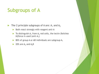 Subgroups of A 
 The 2 principle subgroups of A are: A1 and A2 
 Both react strongly with reagent anti-A 
 To distinguish A1 from A2 red cells, the lectin Dolichos 
biflorus is used (anti-A1) 
 80% of group A or AB individuals are subgroup A1 
 20% are A2 and A2B 
 