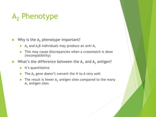 A2 Phenotype 
 Why is the A2 phenotype important? 
 A2 and A2B individuals may produce an anti-A1 
 This may cause discrepancies when a crossmatch is done 
(incompatibility) 
 What’s the difference between the A1 and A2 antigen? 
 It’s quantitative 
 The A2 gene doesn’t convert the H to A very well 
 The result is fewer A2 antigen sites compared to the many 
A1 antigen sites 
 