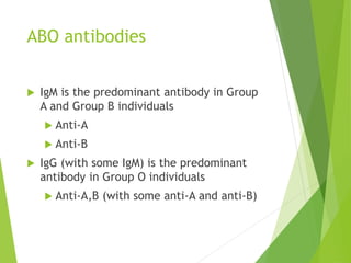 ABO antibodies 
 IgM is the predominant antibody in Group 
A and Group B individuals 
 Anti-A 
 Anti-B 
 IgG (with some IgM) is the predominant 
antibody in Group O individuals 
 Anti-A,B (with some anti-A and anti-B) 
 