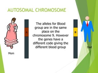 AUTOSOMAL CHROMOSOME 
Dad 
Mom 
The alleles for Blood 
group are in the same 
place on the 
A B 
chromosome 9. However 
the genes have a 
different code giving the 
different blood group 
 
