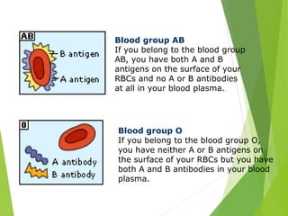 Blood group AB 
If you belong to the blood group 
AB, you have both A and B 
antigens on the surface of your 
RBCs and no A or B antibodies 
at all in your blood plasma. 
Blood group O 
If you belong to the blood group O, 
you have neither A or B antigens on 
the surface of your RBCs but you have 
both A and B antibodies in your blood 
plasma. 
 