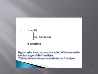 H singh 27
B gene codes for an enzyme that adds D-Galactose to the
terminal sugar of the H Antigen.
This biochemical structure constitutes the B Antigen.
 