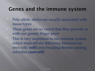 H singh 5
Genes and the immune system
 Poly-allelic alleles are usually associated with
tissue types
 These genes are so varied that they provide us
with our genetic finger print
 This is very important to our immune system
which must tell the difference between our
own cells (self) and invading disease causing
microbes (non-self)
 