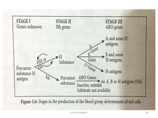 Abo blood group system | PPTX
