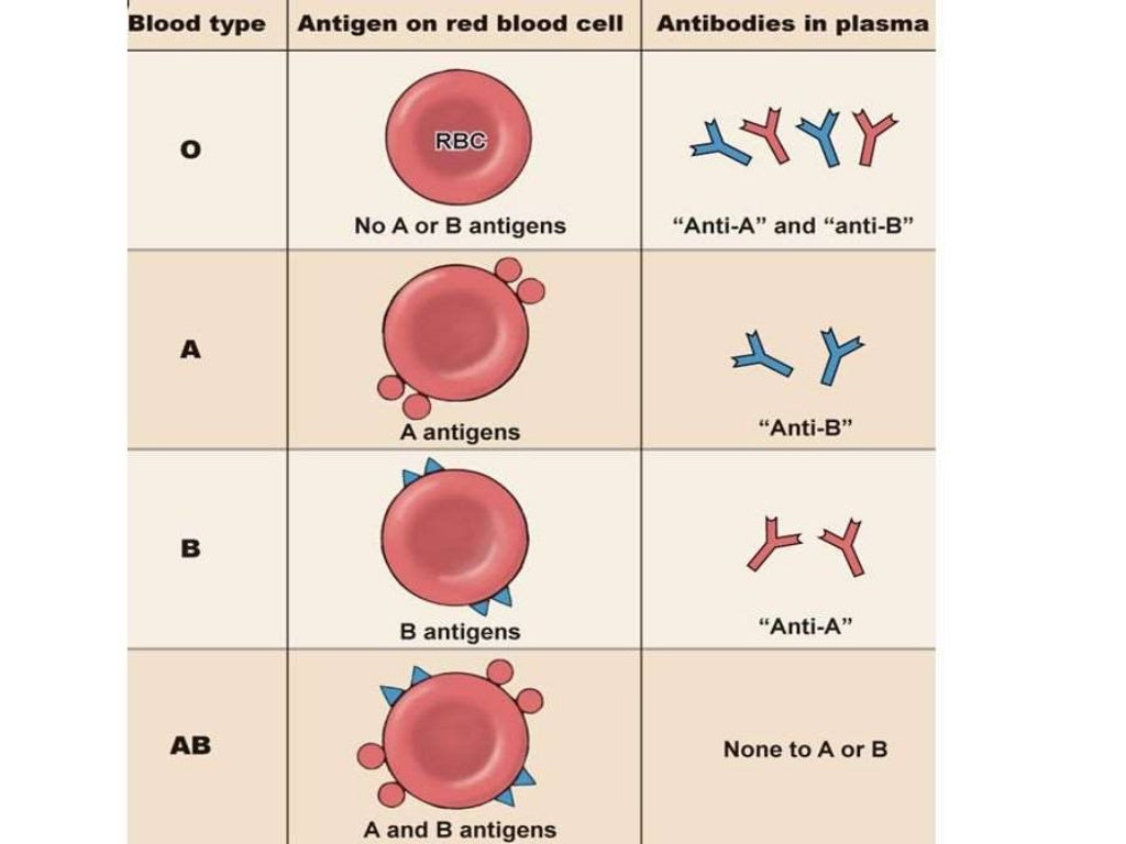 Abo blood group system