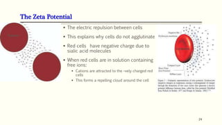 Zeta Potential Rbc ABO blood group system | PPTX