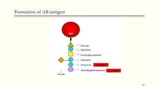 ABO blood group system | PPTX