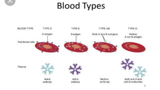 ABO blood group system | PPTX