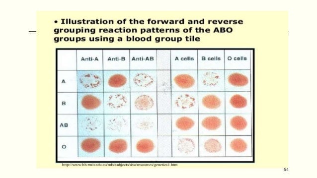 ABO blood group system