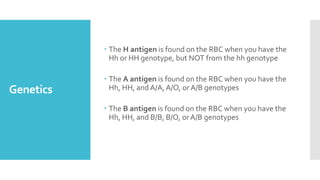 Genetics
 The H antigen is found on the RBC when you have the
Hh or HH genotype, but NOT from the hh genotype
 The A antigen is found on the RBC when you have the
Hh, HH, and A/A, A/O, or A/B genotypes
 The B antigen is found on the RBC when you have the
Hh, HH, and B/B, B/O, orA/B genotypes
 