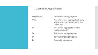  Grading of Agglutination:
Negative (0) No clumps or aggregates
Weak (+/-) Tiny clumps or aggregates barely
visible macroscopically or to the
naked eye
1+ Few small aggregates visible
macroscopically
2+ Medium-sized aggregates
3+ Several large aggregates
4+ One solid aggregate
 