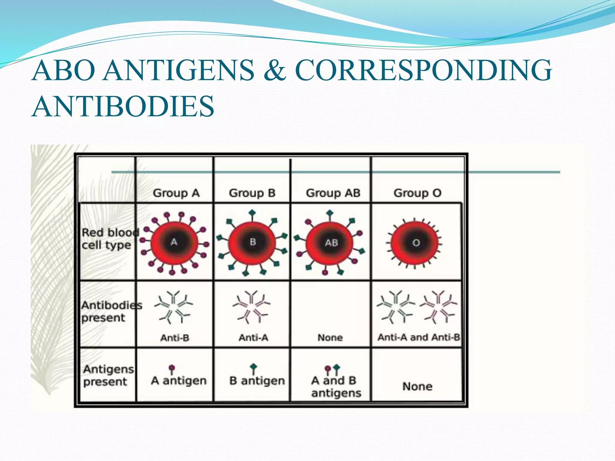 ABO Blood Group System.pptx