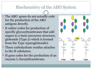 The discovery of the ABO blood group, over 100 years ago, caused great ...