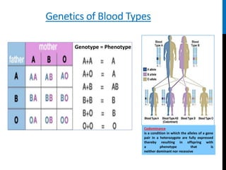 abo_blood_rh_grouping.pptx