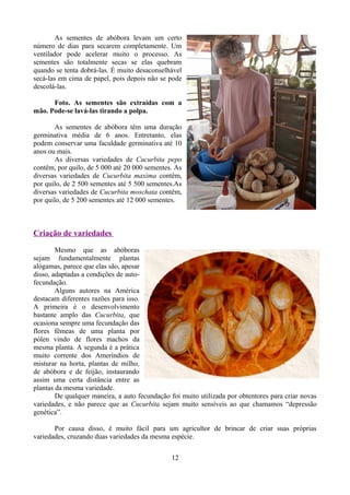 As sementes de abóbora levam um certo
número de dias para secarem completamente. Um
ventilador pode acelerar muito o processo. As
sementes são totalmente secas se elas quebram
quando se tenta dobrá-las. É muito desaconselhável
secá-las em cima de papel, pois depois não se pode
descolá-las.
Foto. As sementes são extraídas com a
mão. Pode-se lavá-las tirando a polpa.
As sementes de abóbora têm uma duração
germinativa média de 6 anos. Entretanto, elas
podem conservar uma faculdade germinativa até 10
anos ou mais.
As diversas variedades de Cucurbita pepo
contêm, por quilo, de 5 000 até 20 000 sementes. As
diversas variedades de Cucurbita maxima contêm,
por quilo, de 2 500 sementes até 5 500 sementes.As
diversas variedades de Cucurbita moschata contêm,
por quilo, de 5 200 sementes até 12 000 sementes.
Criação de variedades
Mesmo que as abóboras
sejam fundamentalmente plantas
alógamas, parece que elas são, apesar
disso, adaptadas a condições de auto-
fecundação.
Alguns autores na América
destacam diferentes razões para isso.
A primeira é o desenvolvimento
bastante amplo das Cucurbita, que
ocasiona sempre uma fecundação das
flores fêmeas de uma planta por
pólen vindo de flores machos da
mesma planta. A segunda é a prática
muito corrente dos Ameríndios de
misturar na horta, plantas de milho,
de abóbora e de feijão, instaurando
assim uma certa distância entre as
plantas da mesma variedade.
De qualquer maneira, a auto fecundação foi muito utilizada por obtentores para criar novas
variedades, e não parece que as Cucurbita sejam muito sensíveis ao que chamamos “depressão
genética”.
Por causa disso, é muito fácil para um agricultor de brincar de criar suas próprias
variedades, cruzando duas variedades da mesma espécie.
12
 