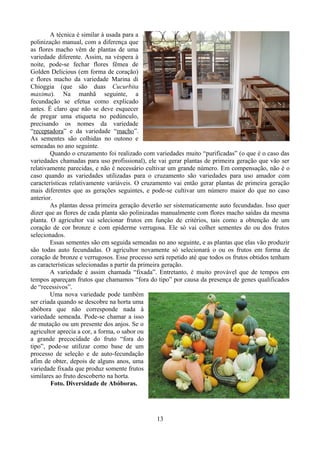 A técnica é similar à usada para a
polinização manual, com a diferença que
as flores macho vêm de plantas de uma
variedade diferente. Assim, na véspera à
noite, pode-se fechar flores fêmea de
Golden Delicious (em forma de coração)
e flores macho da variedade Marina di
Chioggia (que são duas Cucurbita
maxima). Na manhã seguinte, a
fecundação se efetua como explicado
antes. É claro que não se deve esquecer
de pregar uma etiqueta no pedúnculo,
precisando os nomes da variedade
“receptadora” e da variedade “macho”.
As sementes são colhidas no outono e
semeadas no ano seguinte.
Quando o cruzamento foi realizado com variedades muito “purificadas” (o que é o caso das
variedades chamadas para uso profissional), ele vai gerar plantas de primeira geração que vão ser
relativamente parecidas, e não é necessário cultivar um grande número. Em compensação, não é o
caso quando as variedades utilizadas para o cruzamento são variedades para uso amador com
características relativamente variáveis. O cruzamento vai então gerar plantas de primeira geração
mais diferentes que as gerações seguintes, e pode-se cultivar um número maior do que no caso
anterior.
As plantas dessa primeira geração deverão ser sistematicamente auto fecundadas. Isso quer
dizer que as flores de cada planta são polinizadas manualmente com flores macho saídas da mesma
planta. O agricultor vai selecionar frutos em função de critérios, tais como a obtenção de um
coração de cor bronze e com epiderme verrugosa. Ele só vai colher sementes do ou dos frutos
selecionados.
Essas sementes são em seguida semeadas no ano seguinte, e as plantas que elas vão produzir
são todas auto fecundadas. O agricultor novamente só selecionará o ou os frutos em forma de
coração de bronze e verrugosos. Esse processo será repetido até que todos os frutos obtidos tenham
as características selecionadas a partir da primeira geração.
A variedade é assim chamada “fixada”. Entretanto, é muito provável que de tempos em
tempos apareçam frutos que chamamos “fora do tipo” por causa da presença de genes qualificados
de “recessivos”.
Uma nova variedade pode também
ser criada quando se descobre na horta uma
abóbora que não corresponde nada à
variedade semeada. Pode-se chamar a isso
de mutação ou um presente dos anjos. Se o
agricultor aprecia a cor, a forma, o sabor ou
a grande precocidade do fruto “fora do
tipo”, pode-se utilizar como base de um
processo de seleção e de auto-fecundação
afim de obter, depois de alguns anos, uma
variedade fixada que produz somente frutos
similares ao fruto descoberto na horta.
Foto. Diversidade de Abóboras.
13
 