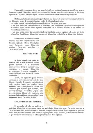 É essencial tomar consciência que as polinizações cruzadas só podem se manifestar no seio
da mesma espécie. Não há fecundações cruzadas e hibridações naturais possíveis entre as diferentes
espécies de Cucurbita, existem alguns casos de cruzamentos com Cucurbita argyrosperma.
De fato, os botânicos americanos perceberam que Cucurbita argyrosperma se caracterizava
por diferentes níveis de compatibilidade e então, de hibridação potencial.
- o maior grau de compatibilidade se manifesta com Cucurbita moschata.
- um grau menor de compatibilidade se manifesta com variedades e populações selvagens de
Cucurbita pepo, assim como algumas variedades de Cucurbita maxima e de formas de
Cucurbita foetidissima.
- um grau ainda menor de compatibilidade se manifesta com as espécies selvagens tais como
Cucurbita lundelliana, Cucurbita martinezzi, Cucurbita pedatifolia e Cucurbita digitata.
Para resumir, as hibridações são
antes de tudo entre variedades (no seio
de cada espécie) e não há hibridações
entre Cucurbita pepo, Cucurbita
maxima, Cucurbita moschata e
Cucurbita ficifolia.
Foto. Flores macho
A única espécie que pode se
hibridar com as três primeiras dessas
quatro espécies é a Cucurbita
argyrosperma. Deve-se destacar que,
entretanto, a espécie Cucurbita
argyrosperma é pouco conhecida e
pouco cultivada nas hortas de zonas
temperadas.
Assim, um agricultor pode produzir
sementes de abóboras em sua horta (se esse
último é isolado de maneira satisfatória da
mais próxima horta que produza outras
abóboras) com a condição de só cultivar uma
variedade por espécie: por exemplo, uma
abóbora-moranga (Cucurbita pepo), uma
abóbora-menina (Cucurbita maxima), uma
abóbora-cheirosa (Cucurbita moschata), uma
abóbora de Siam (Cucurbita ficifolia).
Foto. Abelhas em uma flor fêmea.
É aconselhável não se cultivar a
variedade Cucurbita argyrosperma perto de variedades Cucurbita pepo, Cucurbita maxima e
Cucurbita moschata, quando se deseja produzir suas próprias sementes. Em compensação, pode-se
muito bem produzir sementes de Cucurbita argyrosperma e de Cucurbita ficifolia na mesma horta
já que não existe nenhum risco de hibridação entre essas duas espécies.
7
 