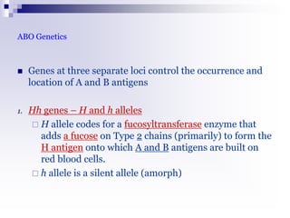 ABO Genetics
 Genes at three separate loci control the occurrence and
location of A and B antigens
1. Hh genes – H and h alleles
 H allele codes for a fucosyltransferase enzyme that
adds a fucose on Type 2 chains (primarily) to form the
H antigen onto which A and B antigens are built on
red blood cells.
 h allele is a silent allele (amorph)
 