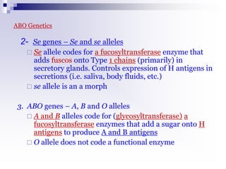 ABO Genetics
2- Se genes – Se and se alleles
 Se allele codes for a fucosyltransferase enzyme that
adds fuscos onto Type 1 chains (primarily) in
secretory glands. Controls expression of H antigens in
secretions (i.e. saliva, body fluids, etc.)
 se allele is an a morph
3. ABO genes – A, B and O alleles
 A and B alleles code for (glycosyltransferase) a
fucosyltransferase enzymes that add a sugar onto H
antigens to produce A and B antigens
 O allele does not code a functional enzyme
 