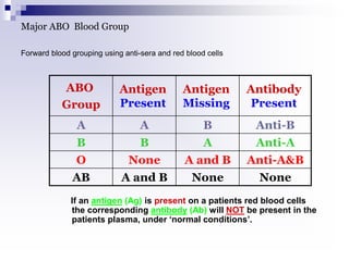 Major ABO Blood Group
Forward blood grouping using anti-sera and red blood cells
ABO
Group
Antigen
Present
Antigen
Missing
Antibody
Present
A A B Anti-B
B B A Anti-A
O None A and B Anti-A&B
AB A and B None None
If an antigen (Ag) is present on a patients red blood cells
the corresponding antibody (Ab) will NOT be present in the
patients plasma, under ‘normal conditions’.
 