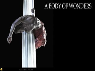 A BODY OF WONDERS! Anderson & Low, Pasha, 2008. 