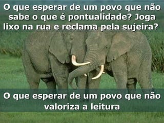 O que esperar de um povo que não sabe o que é pontualidade? Joga lixo na rua e reclama pela sujeira?  O que esperar de um povo que não valoriza a leitura 