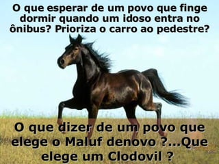 O que esperar de um povo que finge dormir quando um idoso entra no ônibus? Prioriza o carro ao pedestre? O que dizer de um povo que elege o Maluf denovo ?...Que elege um Clodovil ?  