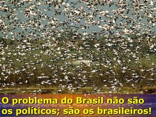 O problema do Brasil não são os políticos; são os brasileiros!  