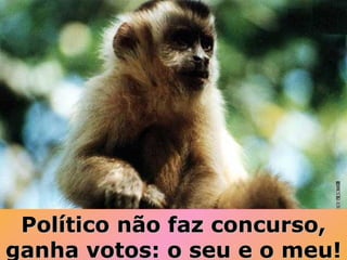 Político não faz concurso, ganha votos: o seu e o meu! 