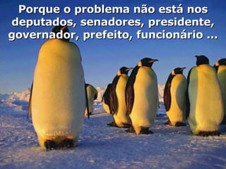 Porque o problema não está nos deputados, senadores, presidente, governador, prefeito, funcionário ... 
