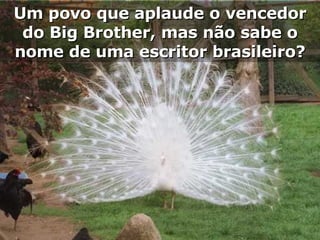 Um povo que aplaude o vencedor do Big Brother, mas não sabe o nome de uma escritor brasileiro? 