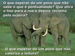 O que esperar de um povo que não sabe o que é pontualidade? Que atira o lixo para a rua e depois reclama pela sujeira?   O que esperar de um povo que não valoriza a leitura? 