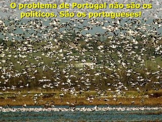 O problema de Portugal não são os políticos. São os portugueses! 