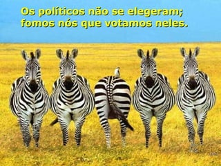 Os políticos não se elegeram; fomos nós que votamos neles. 