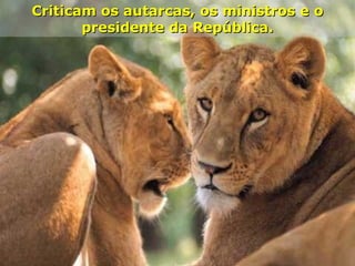 Criticam os autarcas, os ministros e o presidente da República. 