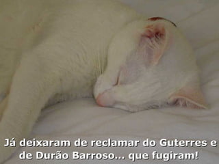 Já deixaram de reclamar do Guterres e de Durão Barroso… que fugiram!  