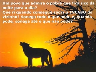 Um povo que admira o pobre que fica rico da noite para o dia?  Que ri quando consegue sacar a TVCABO do vizinho? Sonega tudo o que pode e, quando pode, sonega até o que não pode? 
