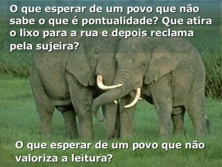 O que esperar de um povo que não sabe o que é pontualidade? Que atira o lixo para a rua e depois reclama pela sujeira?   O que esperar de um povo que não valoriza a leitura? 