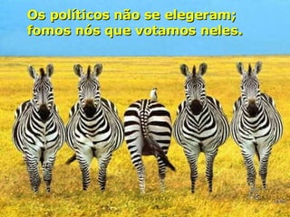 Os políticos não se elegeram; fomos nós que votamos neles. 