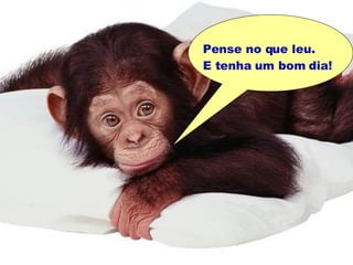 Pense no que leu. E tenha um bom dia! 