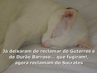 Já deixaram de reclamar do Guterres e de Durão Barroso… que fugiram!, agora reclamam do Socrates 