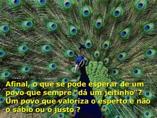 Afinal, o que se pode esperar de um povo que sempre “dá um jeitinho”? Um povo que valoriza o esperto e não o sábio ou o justo ? 