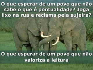 O que esperar de um povo que não
  sabe o que é pontualidade? Joga
lixo na rua e reclama pela sujeira?




O que esperar de um povo que não
        valoriza a leitura
 