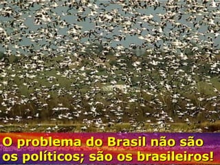 O problema do Brasil não são
os políticos; são os brasileiros!
 