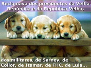 Reclamava dos presidentes da Velha
  República e da República Velha,




dos militares, de Sarney, de
Collor, de Itamar, de FHC, de Lula...
 