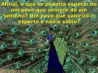 Afinal, o que se poderia esperar de
    um povo que sempre dá um
 jeitinho? Um povo que valoriza o
       esperto e não o sábio?
 