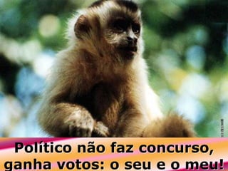 Político não faz concurso,
ganha votos: o seu e o meu!

 