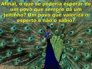 Afinal, o que se poderia esperar de
um povo que sempre dá um
jeitinho? Um povo que valoriza o
esperto e não o sábio?

 